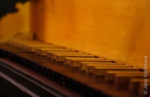 Семинар по настройке и обслуживанию клавесинов